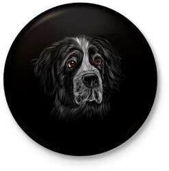 printfashion Berni pásztorkutya portré - Kitűző, hűtőmágnes - Fekete (7060882)