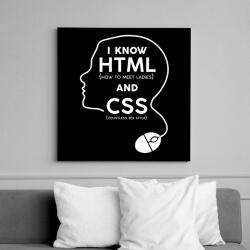 printfashion I know HTML and CSS - Vászonkép - Fekete (7242436)