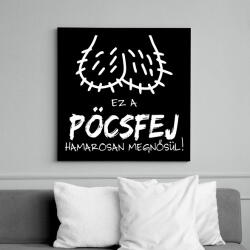 printfashion Legénybúcsú pöcsfej - Vászonkép - Fekete (7510272)