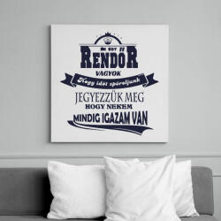 printfashion Rendőr Igaza - Vászonkép - Fehér (6623994)