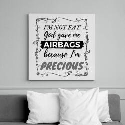 printfashion I'm not fat, God gave me airbags (cause I'm precious) - Vászonkép - Fehér (6631324)