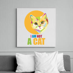 printfashion I'm not a cat - Vászonkép - Fehér (6631656)