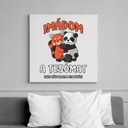 printfashion Imádom a tesómat. . . - Vászonkép - Fehér (14065745)