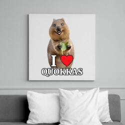 printfashion I love quakkas! - Vászonkép - Fehér (6637380)