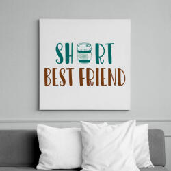 printfashion Short best friend - Vászonkép - Fehér (13506568)