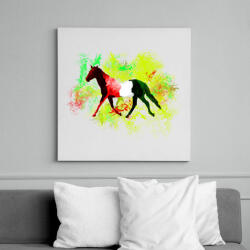 printfashion absztrakt ló - Vászonkép - Fehér (6625261)