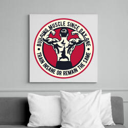 printfashion Izomerő - Vászonkép - Fehér (6620499)