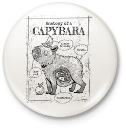 printfashion Capybara anatómia - Kitűző, hűtőmágnes - Fehér (13607043)