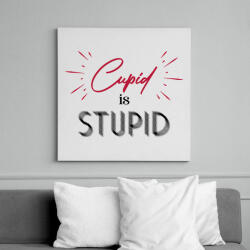 printfashion Cupid is stupid - Vászonkép - Fehér (7283588)