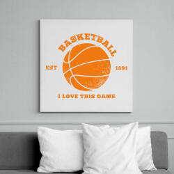 printfashion BASKETBALL - Vászonkép - Fehér (6629399)