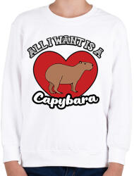 printfashion All I want is a capybara - Gyerek pulóver - Fehér (12745884)