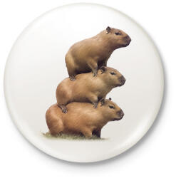 printfashion Capybara kupac - Kitűző, hűtőmágnes - Fehér (13992287)