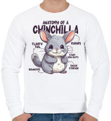 printfashion Csincsilla anatómia - Férfi pulóver - Fehér (14151144)