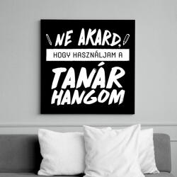 printfashion Tanár hang - Vászonkép - Fekete (8591373)
