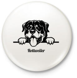 printfashion Rottweiler - Kitűző, hűtőmágnes - Fehér (5117108)