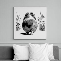 printfashion Tengerimalac - Vászonkép - Fehér (16690714)