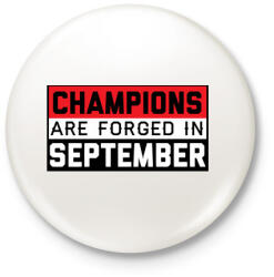 printfashion Bajnokok - Kitűző, hűtőmágnes - Fehér (3075413)