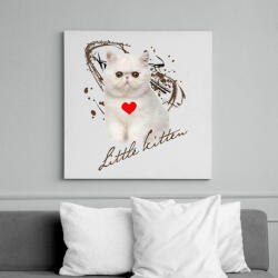printfashion little kitten - Vászonkép - Fehér (6632692)