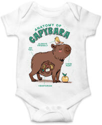 printfashion Capybara anatómia - Baba Body - Fehér (13609502)