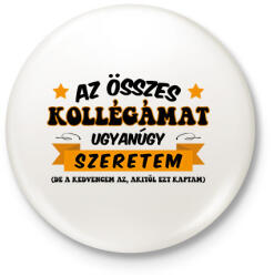 printfashion Összes kollégámat - Kitűző, hűtőmágnes - Fehér (12422984)