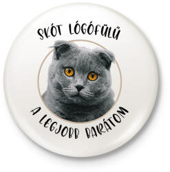 printfashion Skót lógófülű - Legjobb barát - Kitűző, hűtőmágnes - Fehér (7170872)