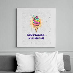 printfashion Nyaligátor - Vászonkép - Fehér (11586649)