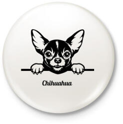 printfashion Chihuahua - Kitűző, hűtőmágnes - Fehér (5117918)