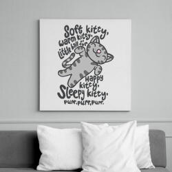 printfashion Soft kitty The Big bang theory _Rajztábla 1 - Vászonkép - Fehér (6634573)