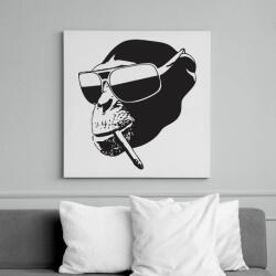 printfashion Vagány majom - Vászonkép - Fehér (6624377)