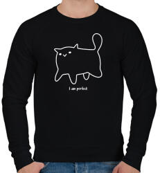printfashion Macska - Férfi pulóver - Fekete (10450145)
