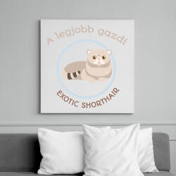 printfashion A legjobb gazdi - Exotic shorthair - Vászonkép - Fehér (6640750)