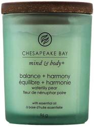 Chesapeake Bay Mind & Body Bay Small Jar Balance & Harmony 96 g