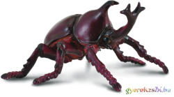 CollectA - Orrszarvúbogár