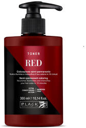 Black Professional Toner Semi-permanent Hair Colour 300 ml félig tartós hajfesték Red