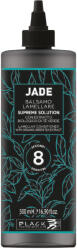 Black Professional Jade Lamellar Conditioner 500 ml