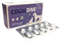  Cognidine® idegrendszert támogató tabletta kutyák és macskák részére 60x