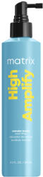 Matrix High Amplify Wonder Boost 250 ml