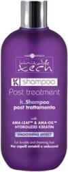 Hair Company Professional Hair Company Inimitable Tech Post Treatment K-Shampoo 250 ml