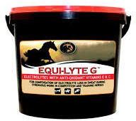 FORAN EQUINE Equi-Lyte G 1 kg - pegazusallatpatika