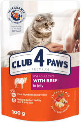 CLUB 4 PAWS Beef in Jelly - Teljes értékű, szaftos eledel felnőtt macskáknak 100g