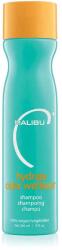 Malibu C Hydrate Color Wellness Shampoo 266 ml