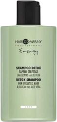 Hair Company Professional Hair Company Crono Age Energy Detox Shampoo 300 ml