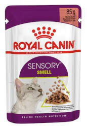 Royal Canin Feline Sensory Smell Gravy alutasak 12x85g - pegazusallatpatika