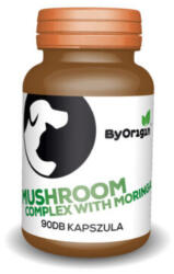ByOrigin Mushroom Complex - Immunerősítő Gomba kapszula - pegazusallatpatika