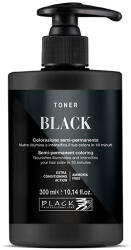 Black Professional Black Professional Toner Semi-permanent Hair Colour 300 ml félig tartós hajfesték Black