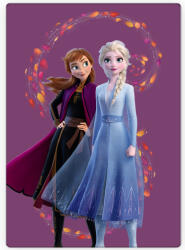 Disney Jégvarázs Wind polár takaró 100x140cm - e-x