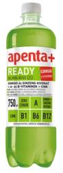 Apenta Ready Alma- kiwi 0, 75L