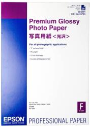 Epson Premium Glossy Photo Paper, DIN A2, 250g/m? , 25 Lap (C13S042091)