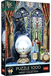 Trefl 1000 db-os Premium Plus puzzle - Magic Collection - A varázsló tanítványa - Lisa Parker (10898)