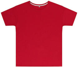 SG Lighting Csomag akciós póló (minimum 3 db) Gyerek rövid ujjú póló SG Kids' Perfect Print Tagless Tee -152 (11-12/2XL), Piros